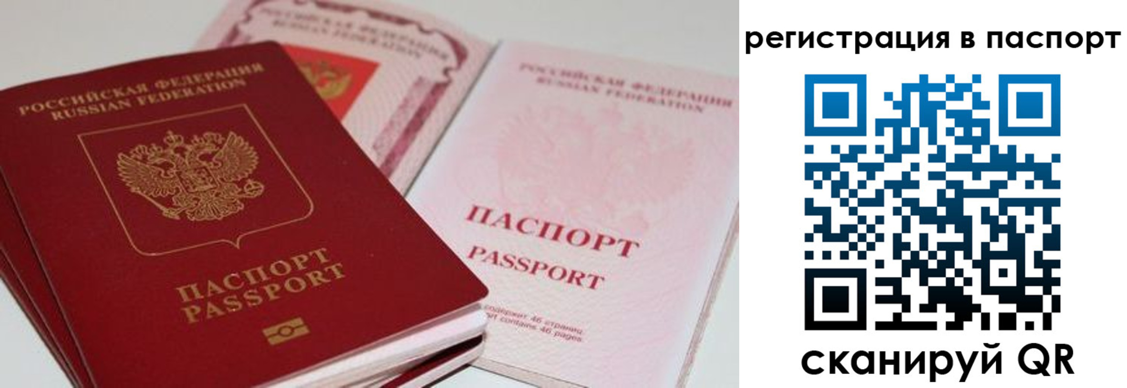 временная регистрация недорого в Павлово